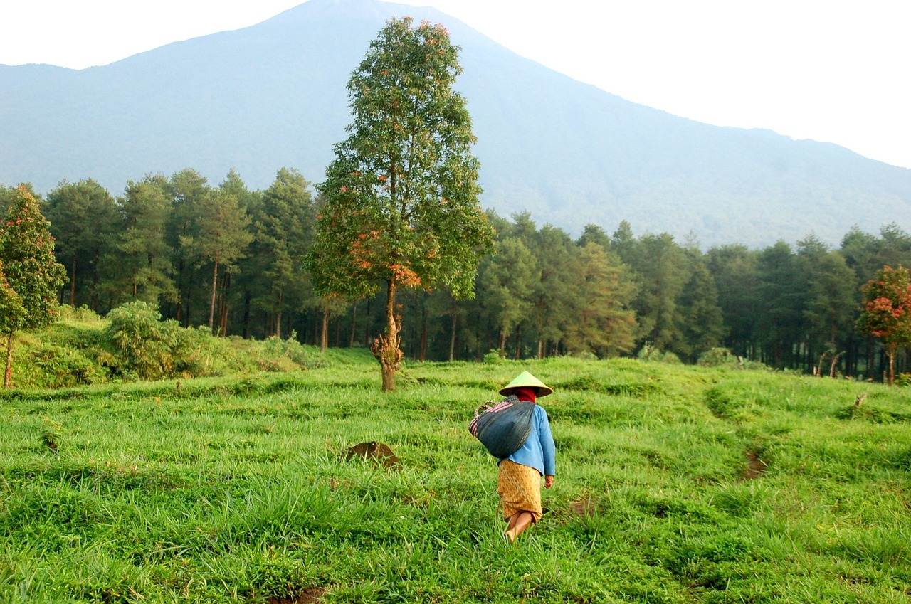 di-jual-tanah-daerah-kecamatan-gerokgak-kabupaten-buleleng-bali